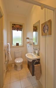 W łazience znajduje się toaleta, umywalka i lustro. w obiekcie Ruapehu Country Lodge w mieście Ohakune