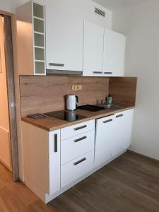 Köök või kööginurk majutusasutuses Apartment David O2 Arena Prague