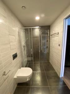 a bathroom with a shower and a toilet and a glass shower at Apartment David O2 Arena Prague in Prague