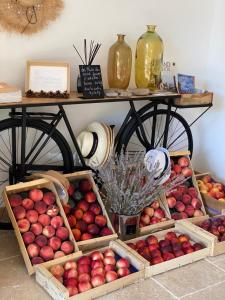 a bunch of baskets of apples on a table at Mas de Capelou in Avignon