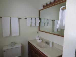 a bathroom with a sink and a mirror and a toilet at Bridge Bay at Shasta Lake in Shasta Lake