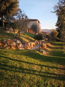 a house on a grassy hill with a stone path at Mommialla il Baluardo in Gambassi Terme