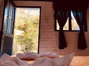 Fotografie z fotogalerie ubytování Posada La Loca Compañía v destinaci Salento