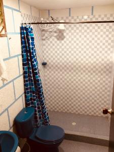 a bathroom with a shower with a blue toilet at Posada La Loca Compañía in Salento