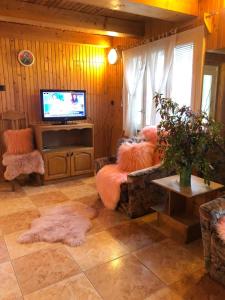 TV a/nebo společenská místnost v ubytování Ibis + 37 fotografií