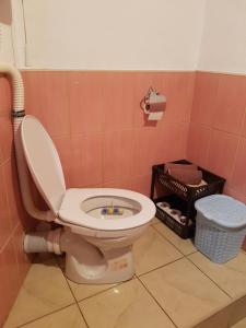 baño con aseo con tapa en Captain s house, en Konjic 26 fotos más