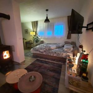 ein Wohnzimmer mit einem Bett und einem Kamin in der Unterkunft Villa Jasikovac in Berane