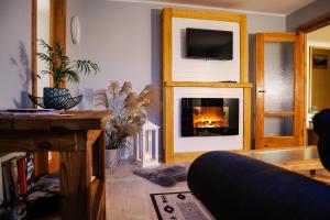 a living room with a fireplace with a tv above it at Parka apartamenti in Kuldīga