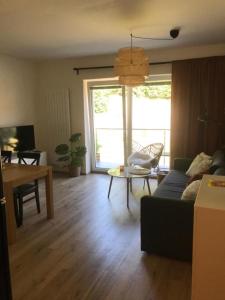 TV a/nebo společenská místnost v ubytování Apartmány Trio Krkonoše