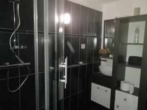 a black tiled bathroom with a shower and a toilet at FLOREVA 43 Proche plage et thalasso in Concarneau