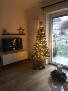 Fotografia z galérie ubytovania Apartmány Trio Krkonoše v destinácii Horní Maršov