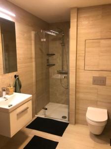 Kúpeľňa v ubytovaní Apartmány Trio Krkonoše