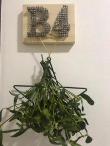 Fotografia z galérie ubytovania Apartmány Trio Krkonoše v destinácii Horní Maršov