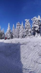 Apartmány Trio Krkonoše v zime