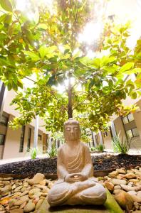 a statue of aitating buddha sitting under a tree at Barwon Heads Resort in Barwon Heads