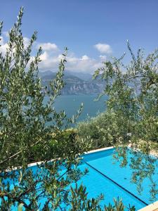 a swimming pool with a view of the water at Appartamento Venzo in Brenzone sul Garda