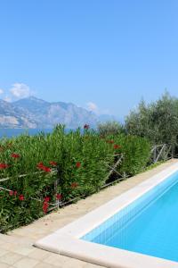 a swimming pool with red flowers next to a mountain at Appartamento Venzo in Brenzone sul Garda