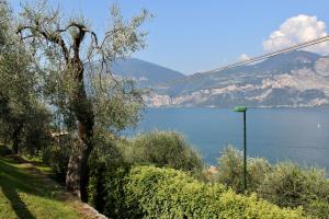 a view of a body of water with a tree at Appartamento Venzo in Brenzone sul Garda
