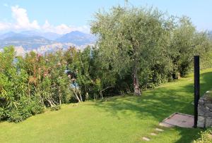a garden with an apple tree and some bushes at Appartamento Venzo in Brenzone sul Garda