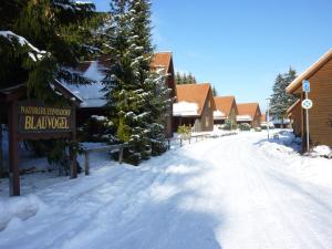 a snow covered street in a village with a sign at ****FH Blauvogel 60 Harz in Hasselfelde