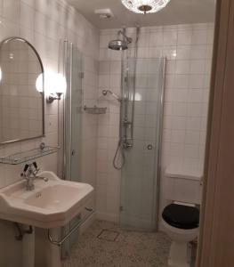 a bathroom with a shower and a sink and a toilet at Hoby Gård B&B in Bräkne-Hoby