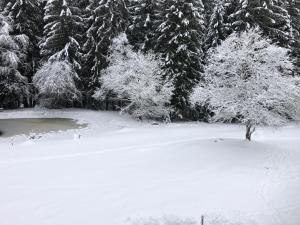 Fotografie z fotogalerie ubytování Bergwaldhof Schonach v destinaci Schonach