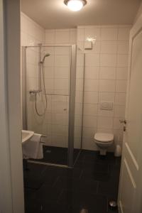 a bathroom with a shower and a toilet at Haus am See Haselünne in Haselünne
