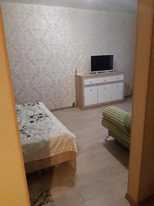 um quarto com uma cama e uma televisão numa cómoda em Квартира Центр em Vinnytsya