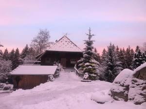 Fotografie z fotogalerie ubytování Bergwaldhof Schonach v destinaci Schonach