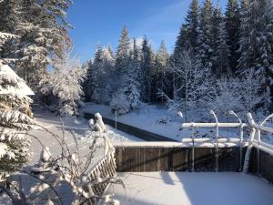 Fotografie z fotogalerie ubytování Bergwaldhof Schonach v destinaci Schonach