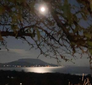 Zdjęcie z galerii obiektu Panoráma Balaton w mieście Balatongyörök