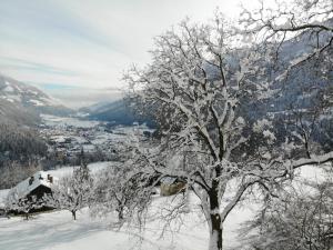 Ranacherhof a l'hivern