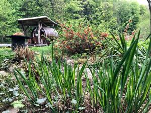 Zahrada ubytování Schlummerfass an der Bockmühle