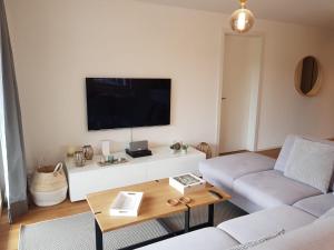 TV a/nebo společenská místnost v ubytování Residenz Panorama - Blatten bei Naters VS