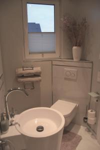 baño con lavabo y aseo y ventana en Appartement du Rhin en Neuhaeusel