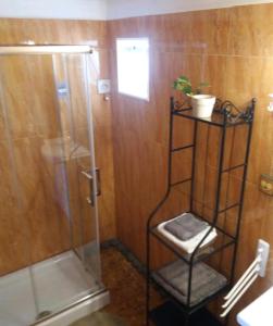 eine Dusche mit Glastür und ein Regal mit einer Pflanze in der Unterkunft Casita Mary in Costa Teguise