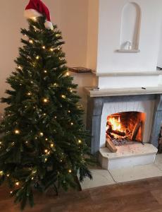 キーウにあるKashtan guest houseの暖炉前のクリスマスツリー