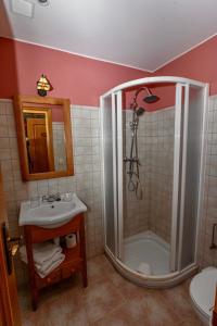 a bathroom with a shower and a sink at Casa Laiglesia in Uncastillo