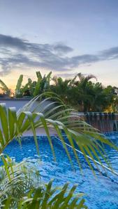 a view of a swimming pool with palm trees at Norshah Village Resort in Pantai Cenang