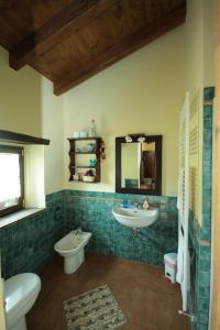 a bathroom with a sink and a toilet at Agriturismo Le Querciole in Borgo Val di Taro