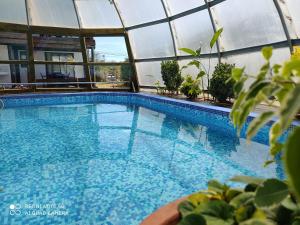 Bazén v ubytování Serena del Lago nebo v jeho okolí