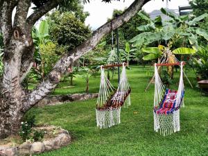 un grupo de hamacas colgando de un árbol en Alojamiento Rural Casa de Campo Erika Sofia, en Rivera