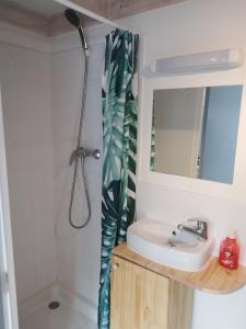 uma casa de banho com um lavatório, um espelho e um chuveiro em Le Clos des Pins em Rivedoux-Plage