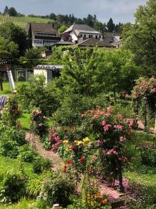 a garden filled with lots of different types of flowers at Ferienwohnungen Perlina Karpat in Bernkastel-Kues