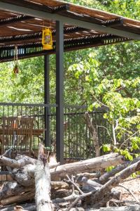 a cat laying on the ground next to a tree at Hello Kruger Hideaway Cottage & Skilpad Studio in Marloth Park