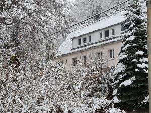 un edificio cubierto de nieve junto a un árbol en Ferienwohnungen an der Bosel, en Coswig