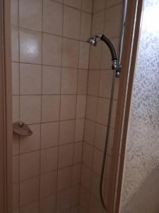 a shower with a shower head in a bathroom at Pension Weber in Gries im Sellrain