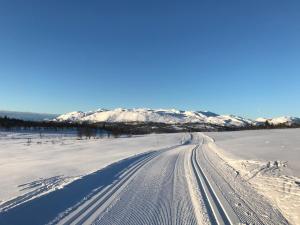 a road in a snowy field with snow covered mountains at Rauland in Rauland