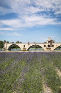 Afbeelding uit fotogalerij van Location gîte campagne en Provence - Vaucluse in Pernes-les-Fontaines