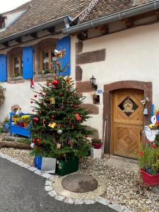 un albero di Natale davanti a una casa di Le Nid de Cigognes a Hengwiller